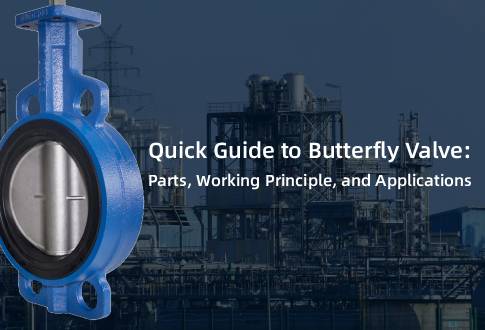 Butterfly Valve News.jpg